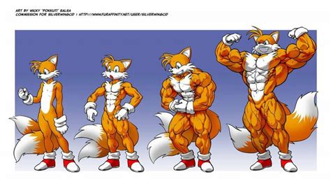 buff tails the fox|buff tails sonic.